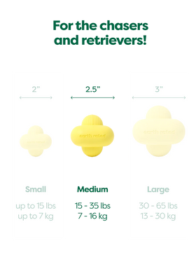 Earth Rated - Fetch Toy (Dog Toy)