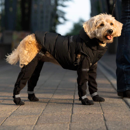 Canada Pooch - Suspender Boots (Black)