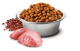 Farmina - N&D Quinoa - Weight Management Lamb Mini (Dry Dog Food)