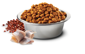 Farmina - N&D Quinoa - Skin & Coat Herring & Quinoa Med/Maxi (Dry Dog Food)