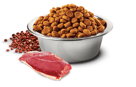 Farmina - N&D Quinoa -  Skin & Coat Duck & Quinoa Mini (Dry Dog Food)