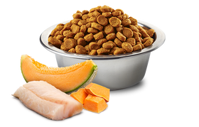 Farmina - N&D Ocean - Cod, Pumpkin and Cantaloupe Melon Mini (For Puupies)