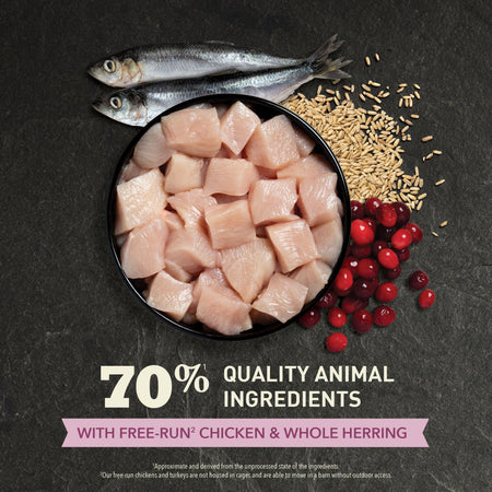 Acana - Premium - First Feast (Dry Cat Food)