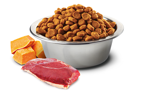 Farmina - N&D Pumpkin - Duck, Cantaloupe & Pumpkin Mini (Dry Dog Food)
