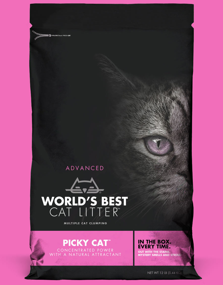World's Best Cat Litter - Picky Cat