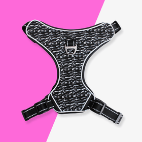 BeOneBreed - Mesh Harness - Black