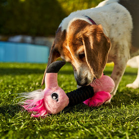 BeOneBreed - Rio the flamingo(Dog Toy)