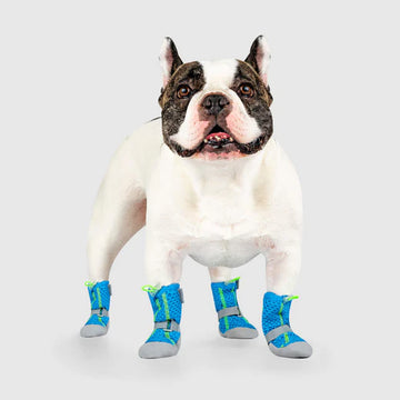 Canada Pooch - Hot Pavement Boots