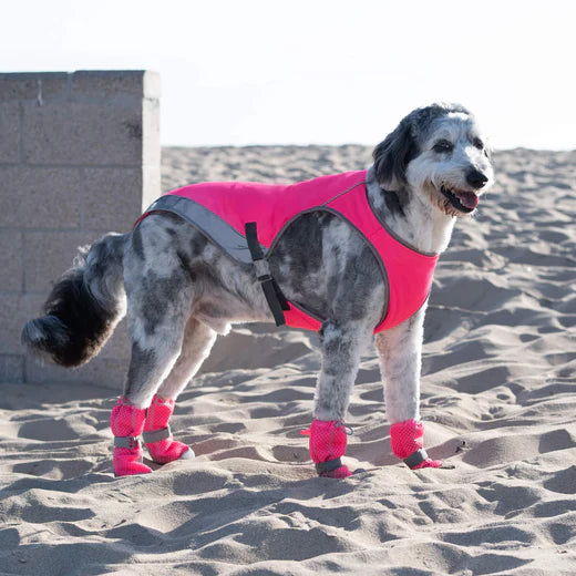 Canada Pooch - Hot Pavement Boots (Pink)