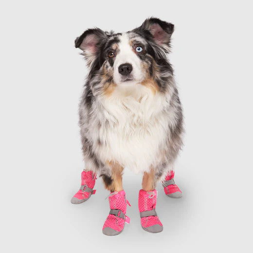 Canada Pooch - Hot Pavement Boots (Pink)