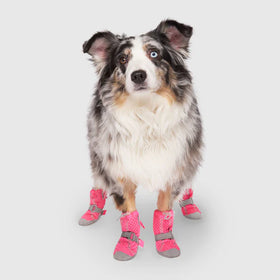 Canada Pooch - Hot Pavement Boots (Pink)