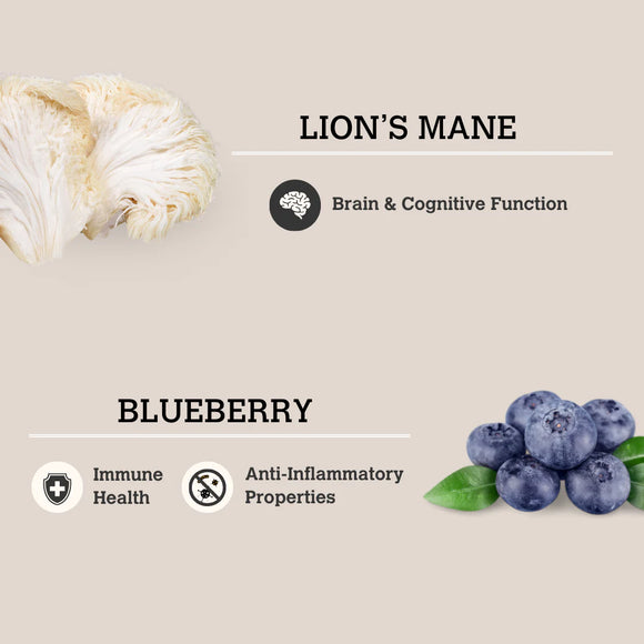 Charmy - Mushroom Bone Broth - Lion's Mane & Blueberry (For Dogs & Cats)