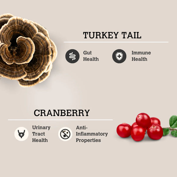 Charmy - Mushroom Bone Broth - Turkey Tail & Cranberry (For Dogs & Cats)