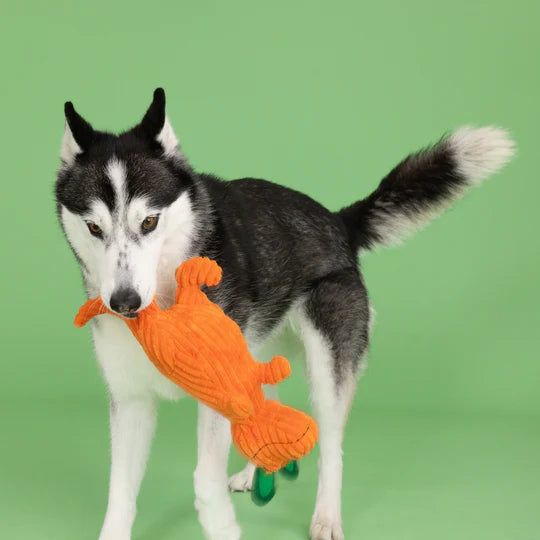 Fringe Studio - Carrot 'Bout You (For Dogs)