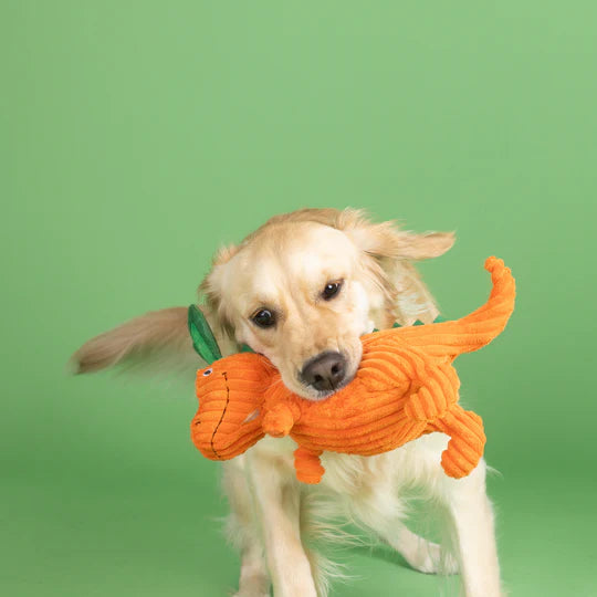 Fringe Studio - Carrot 'Bout You (For Dogs)