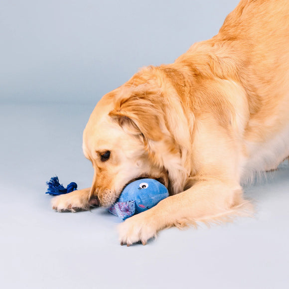 Fringe Studio - Do The Right Sting (For Dogs)