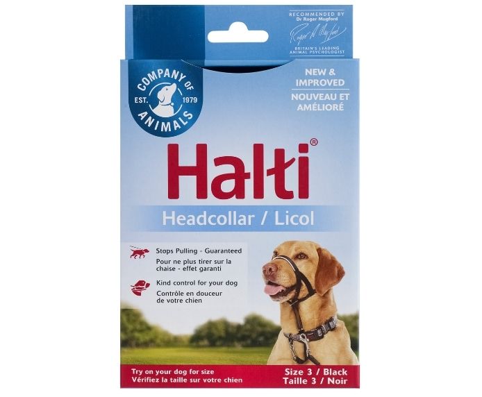 Dog halti sales