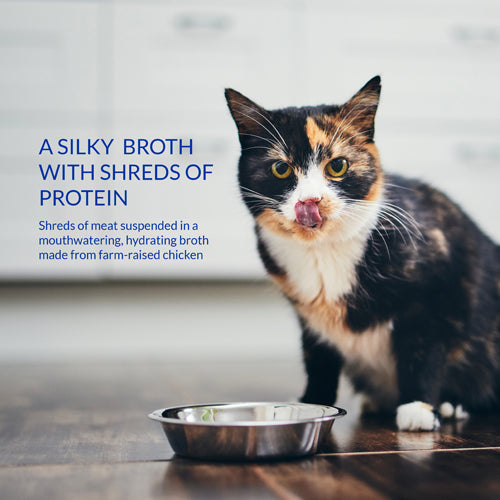 Inaba - Churu Broth - Chicken Recipe (For Cats)