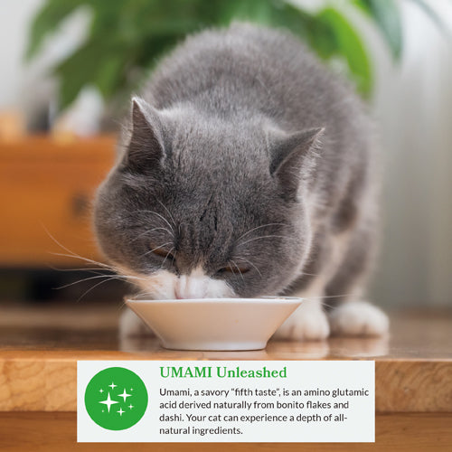 Inaba - Dashi Delights - Chicken & Bonito Flakes Recipe (For Cats)