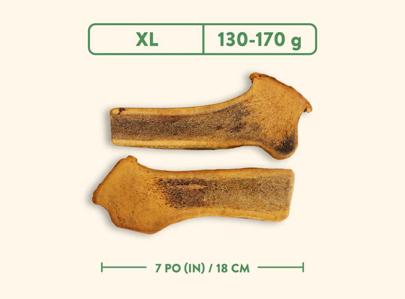 Jawgler (Dentler) - Smoked Maple Ham (Split)