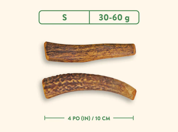 Jawgler (Dentler) - Smoked Maple Ham (Whole)