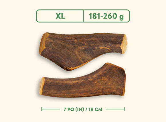 Jawgler (Dentler) - Smoked Maple Ham (Whole)