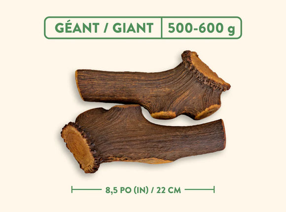 Jawgler (Dentler) - Smoked Maple Ham (Whole)