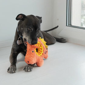 KONG - Ringaroos Pig (For Dogs)