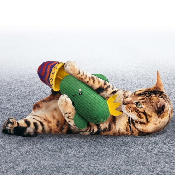 KONG | Wrangler Cactus | Cat Toys Near Me Toronto | ARMOR THE POOCH