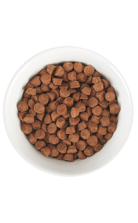 Tiki Cat - Born Carnivore - Kitten Health: Deboned Chicken & Egg (For Kittens)