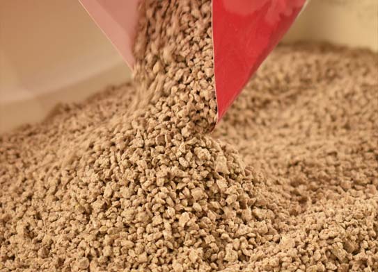 World's Best Cat Litter - Multiple Cat Unscented