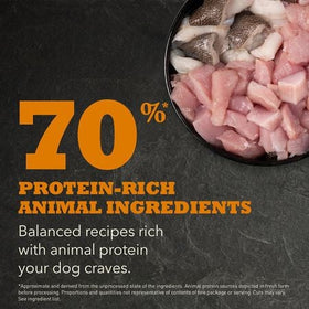 Acana - Puppy Large Breed Recipe (Dry Dog Food)