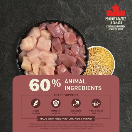 Acana - Healthy Grains - Large Breed Recipe (Dry Dog Food)