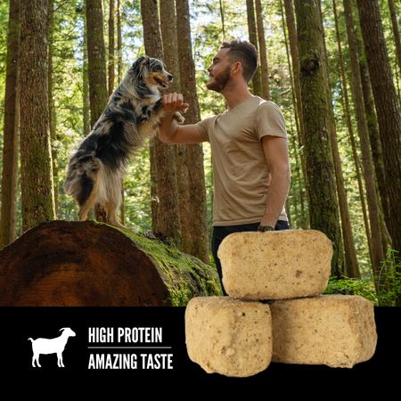 Orijen - Tundra Freeze-Dried Dog Treats (For Dogs)