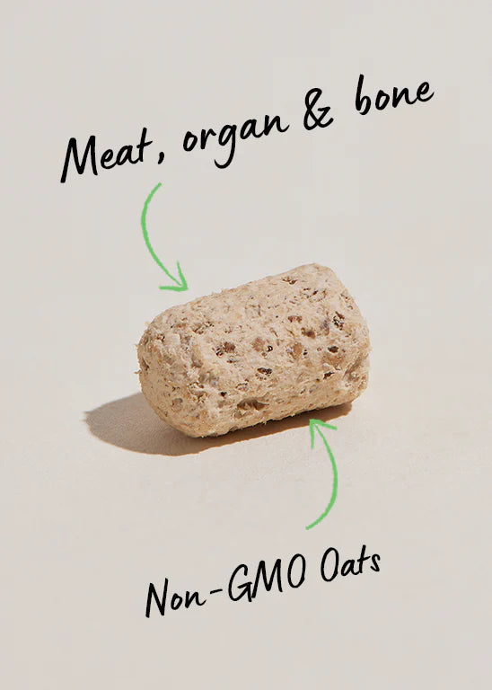 Open Farm - GoodBowl™ Wild-Caught Salmon Freeze Dried Raw Topper (For Dogs)