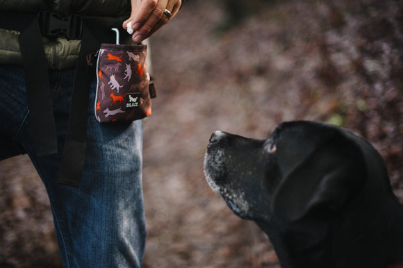 P.L.A.Y | Compact Training Pouch | Dog Training Supply