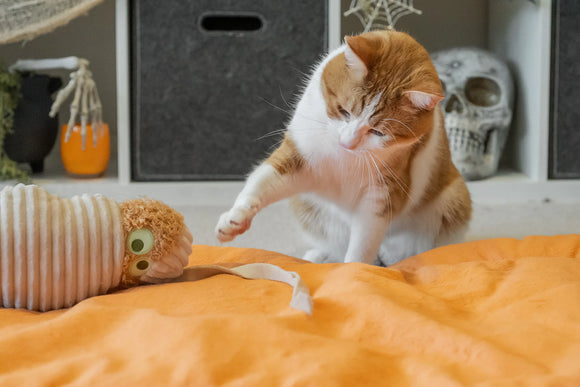 P.L.A.Y - Feline Frenzy - Meow-my Kicker Toy (For Cats)