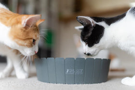 P.L.A.Y - Peek-a-boo Mouse Interactive Cat Toy - (For Cats)