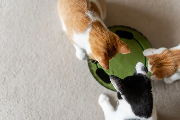 P.L.A.Y - Peek-a-boo Mouse Interactive Cat Toy - (For Cats)
