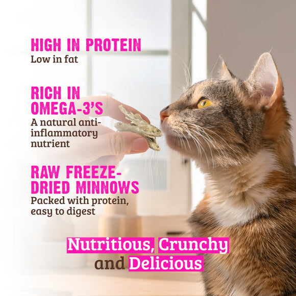RAWZ - Raw Freeze Dried Minnows (Cat Treat)