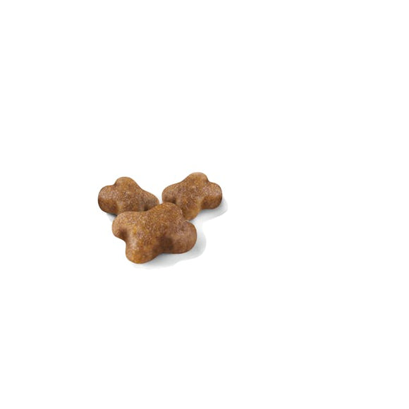 Royal Canin - Feline Kitten Recipe