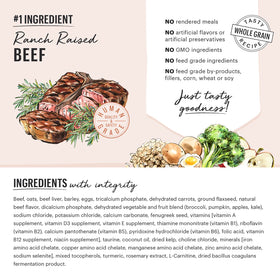 The Honest Kitchen - Whole Food Clusters - Whole Grain Beef Clusters (Dry Dog Food) - 0