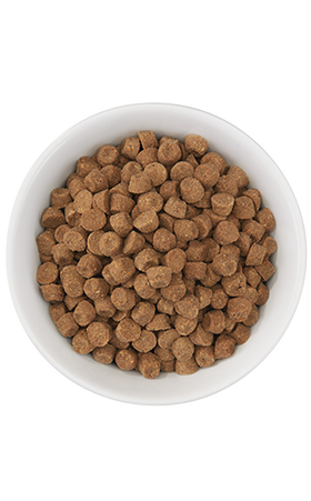 Tiki Cat - Born Carnivore - Herring & Salmon (For Cats)