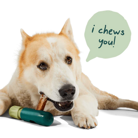 Woof - The BullySafe - Bully Stick Holder (For Dogs)