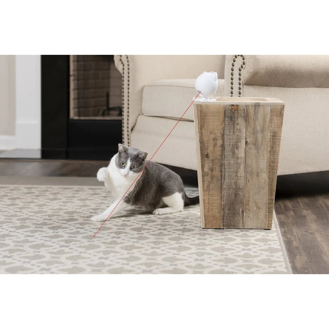 PetSafe - Dancing Dot Laser Cat Toy