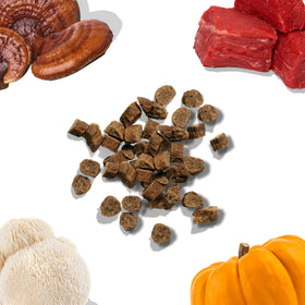 healthybud - Beef Mini Training Treats (For Dogs)