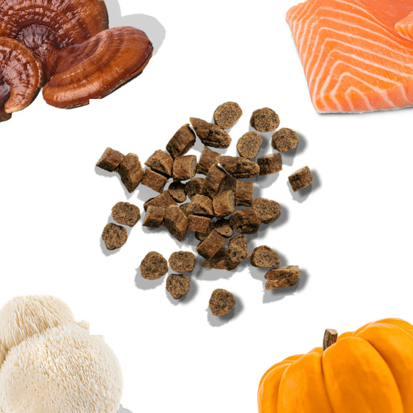 healthybud - Salmon Mini Training Treats (For Dogs)