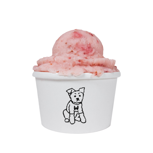 WALTO - STRAWBERRIES AND CREAM ICE CREAM PUP CUP - (Frozen Treat)