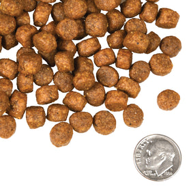 Fromm - Beef Frittata Veg Recipe (Dry Dog Food)