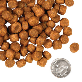Fromm - Game Bird Recipe (Dry Dog Food) - 0